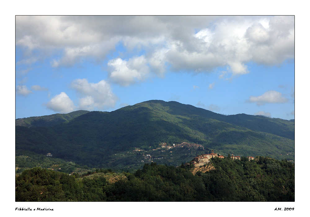 Fibbialla e Medicina