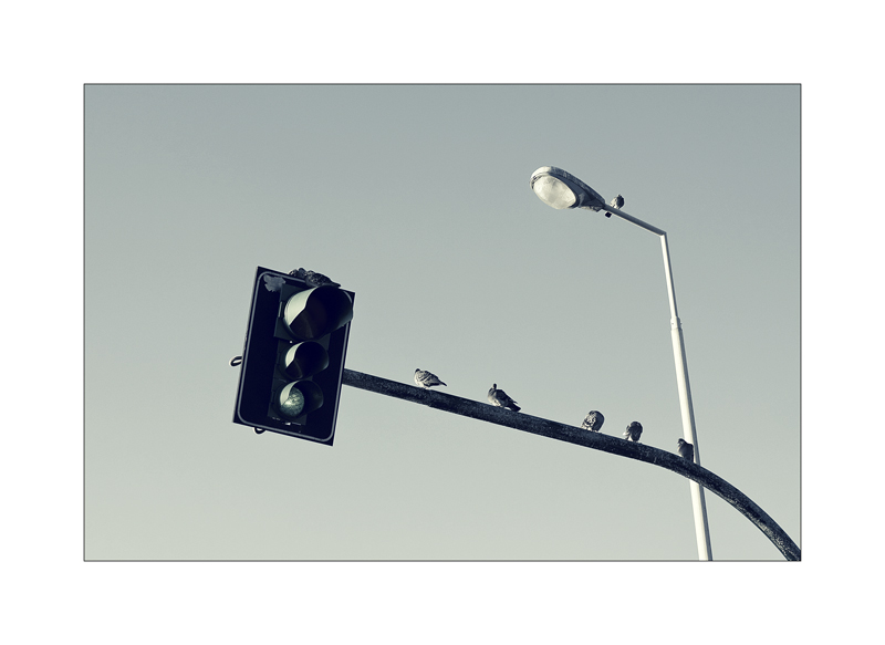 organigramma aziendale