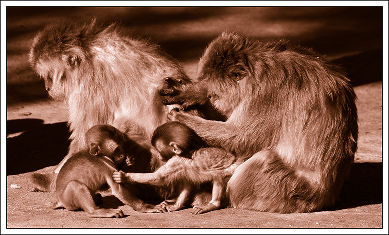 Ritratto di famiglia