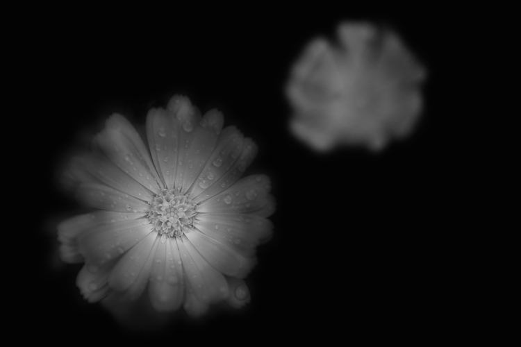 The other world_Two Suns