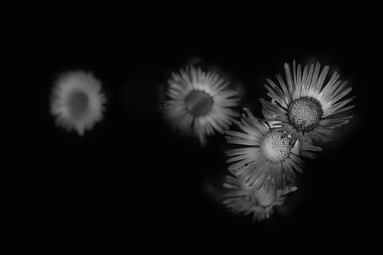 The other world_Silence