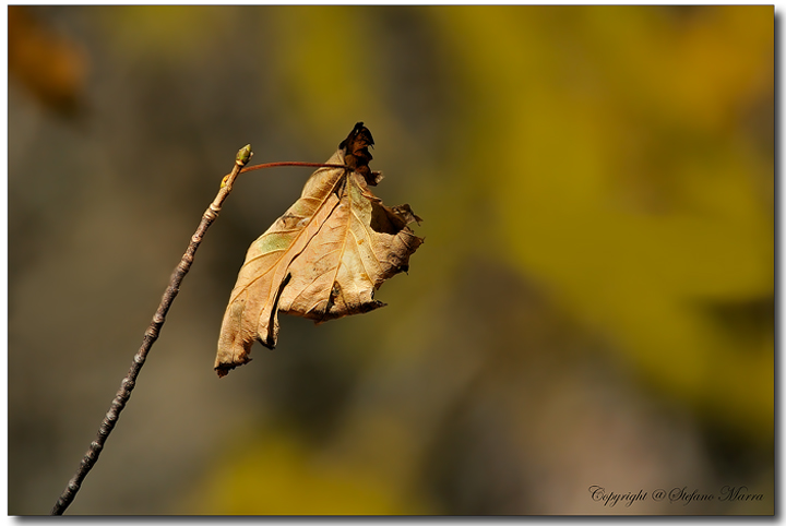 Aspettando un soffio di vento..