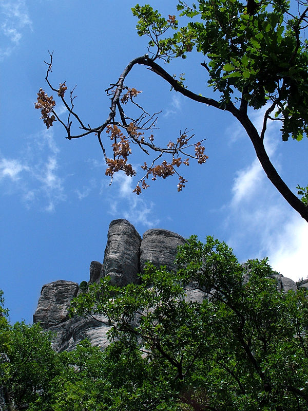 Pietra di Bismantova 2