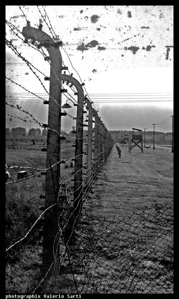 Birkenau