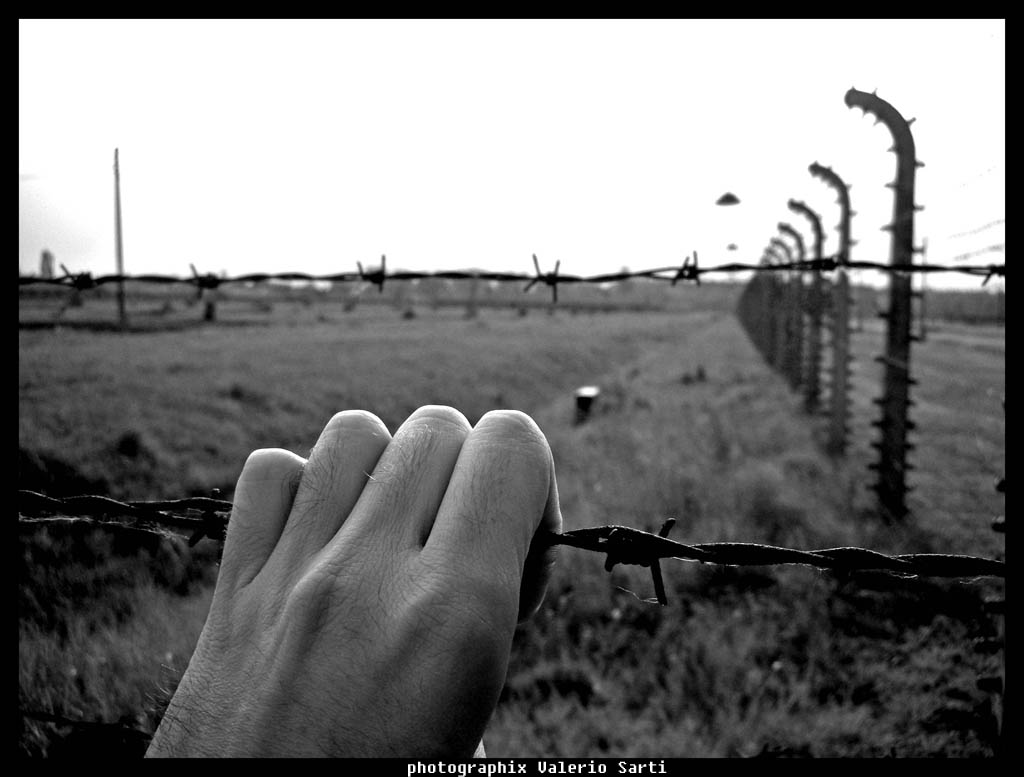 Birkenau...senza parole