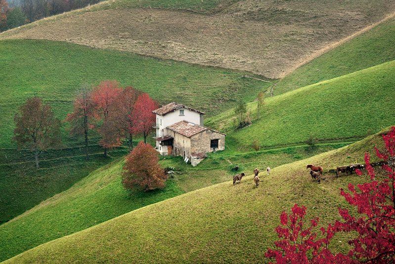Autunno in Montagna