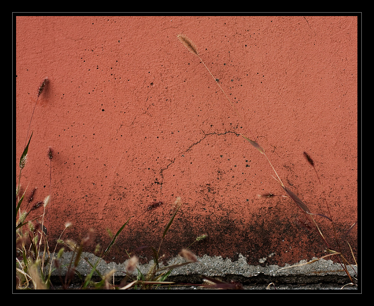 Steli che guardano a sud