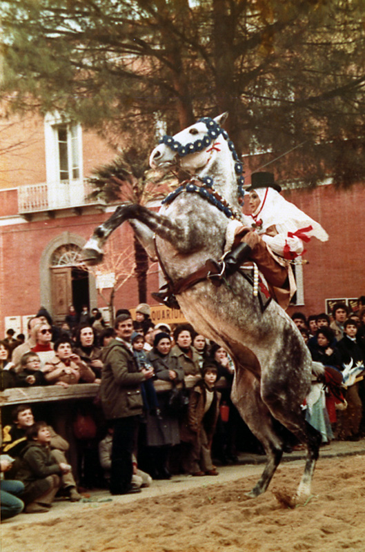 Sartiglia