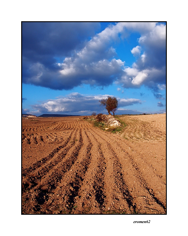 ...TERRE D'AUTUNNO...