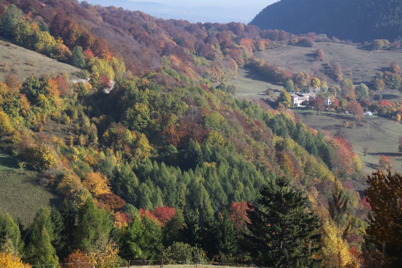 Tavolozza dell'autunno