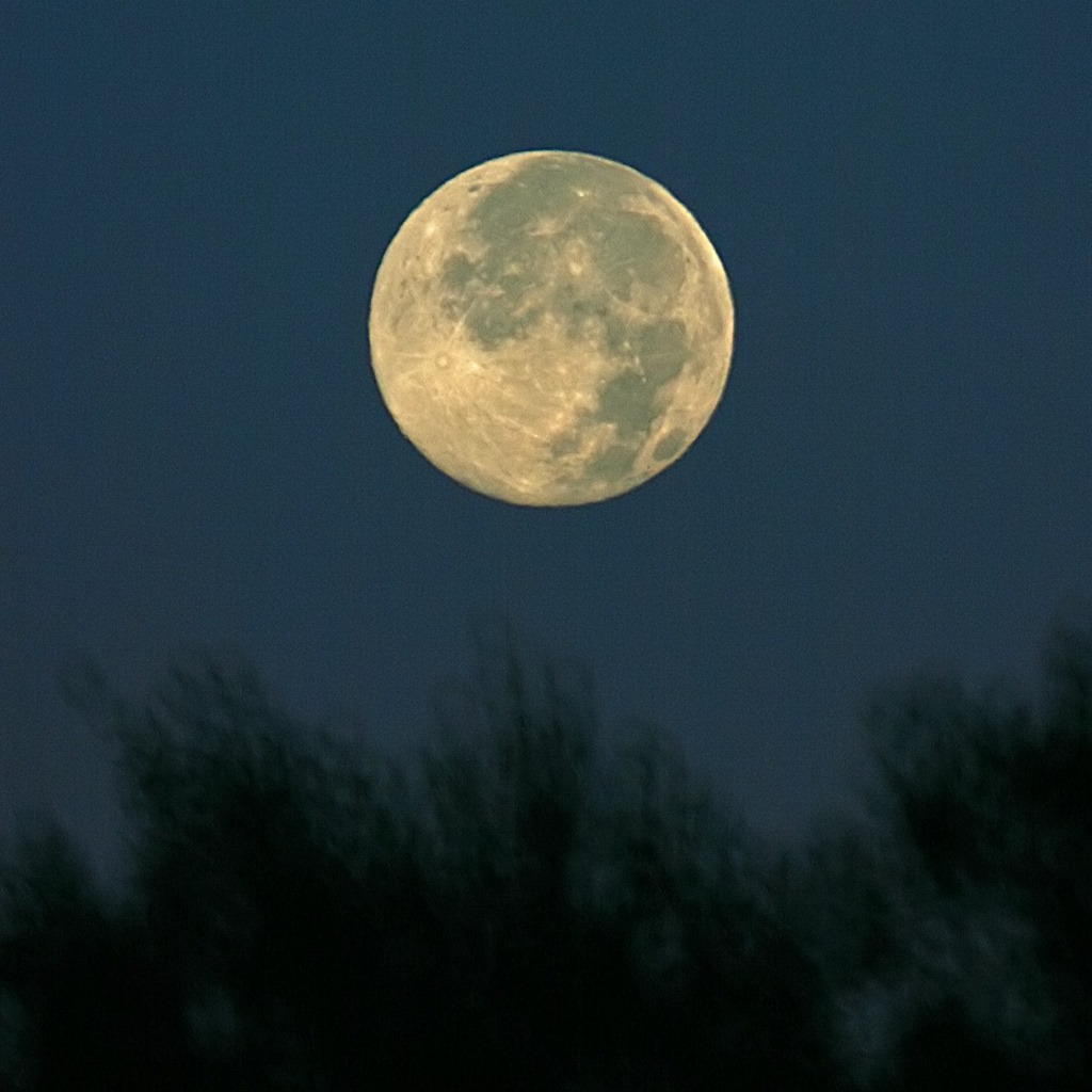 Dalla finestra , stamattina