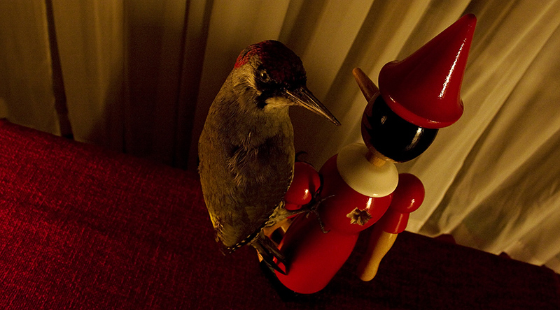 genesi di un tossicomane