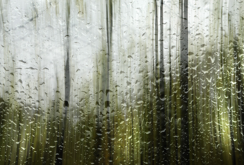 percezioni d'autunno