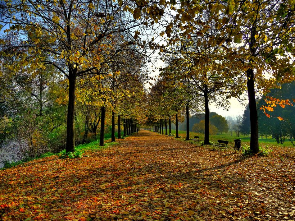 verso ... l'infinito