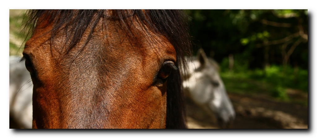 Lei � mia, chiaro?