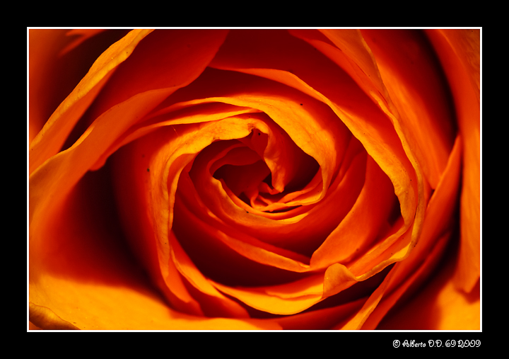 ...due anni con Photo4U...