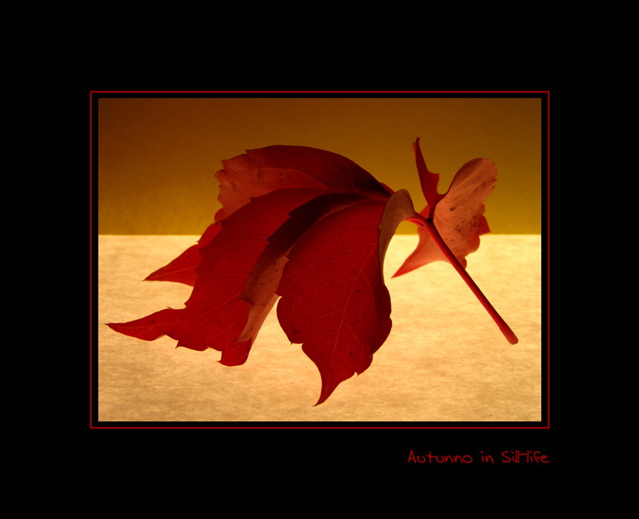 Autunno in still-life
