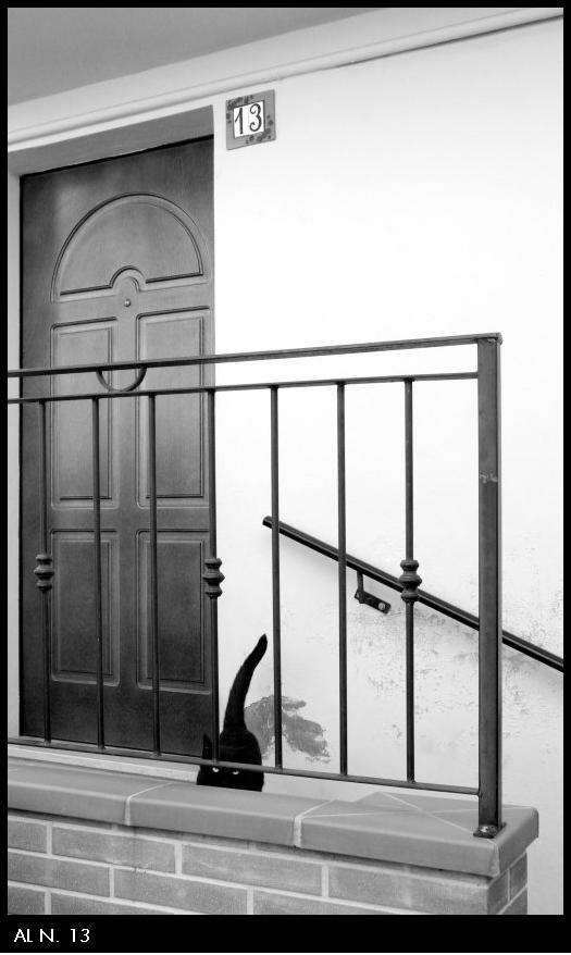 Al N.13