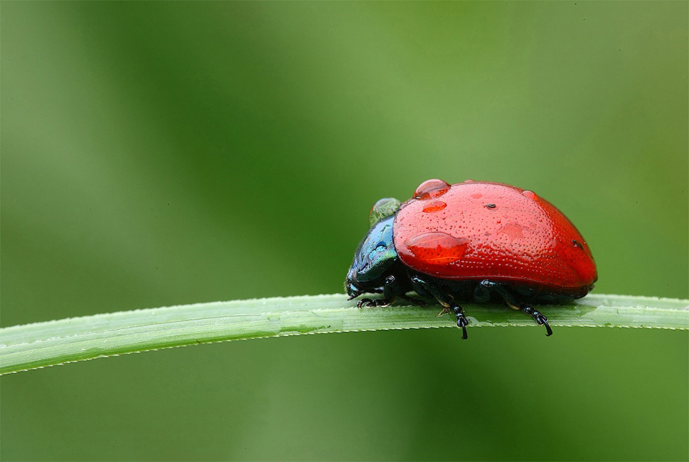 ...La Lunga Strada...!!!