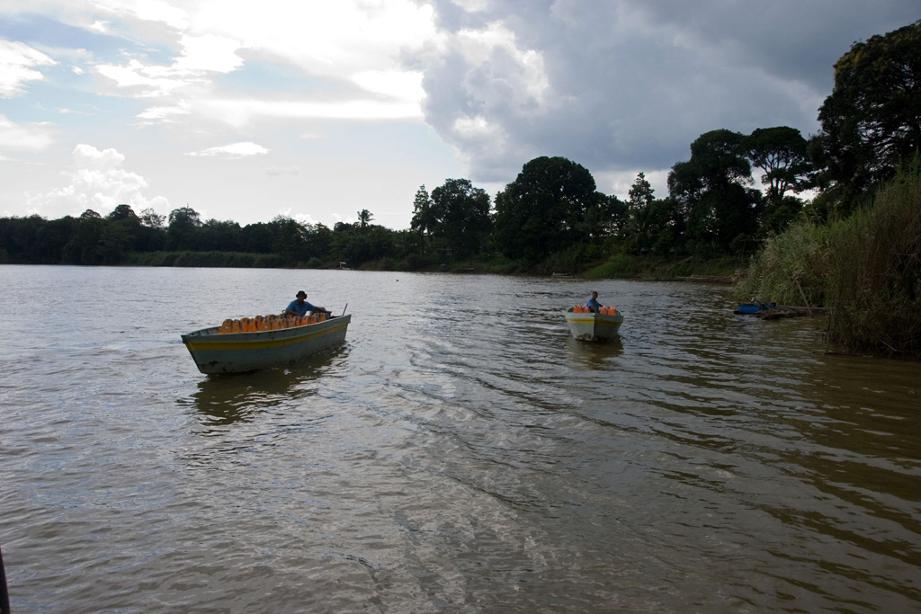 immagine sul Kinabatangan