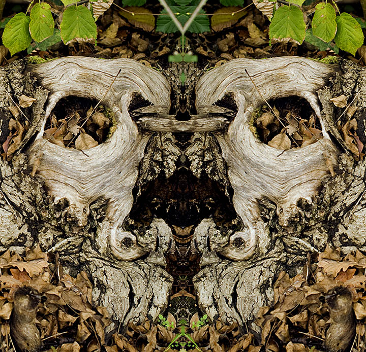 maschera con foglia verde