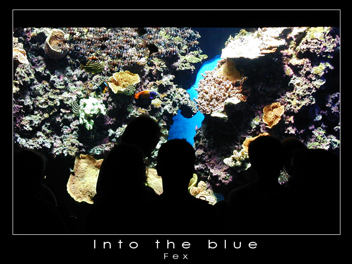 Into the blue