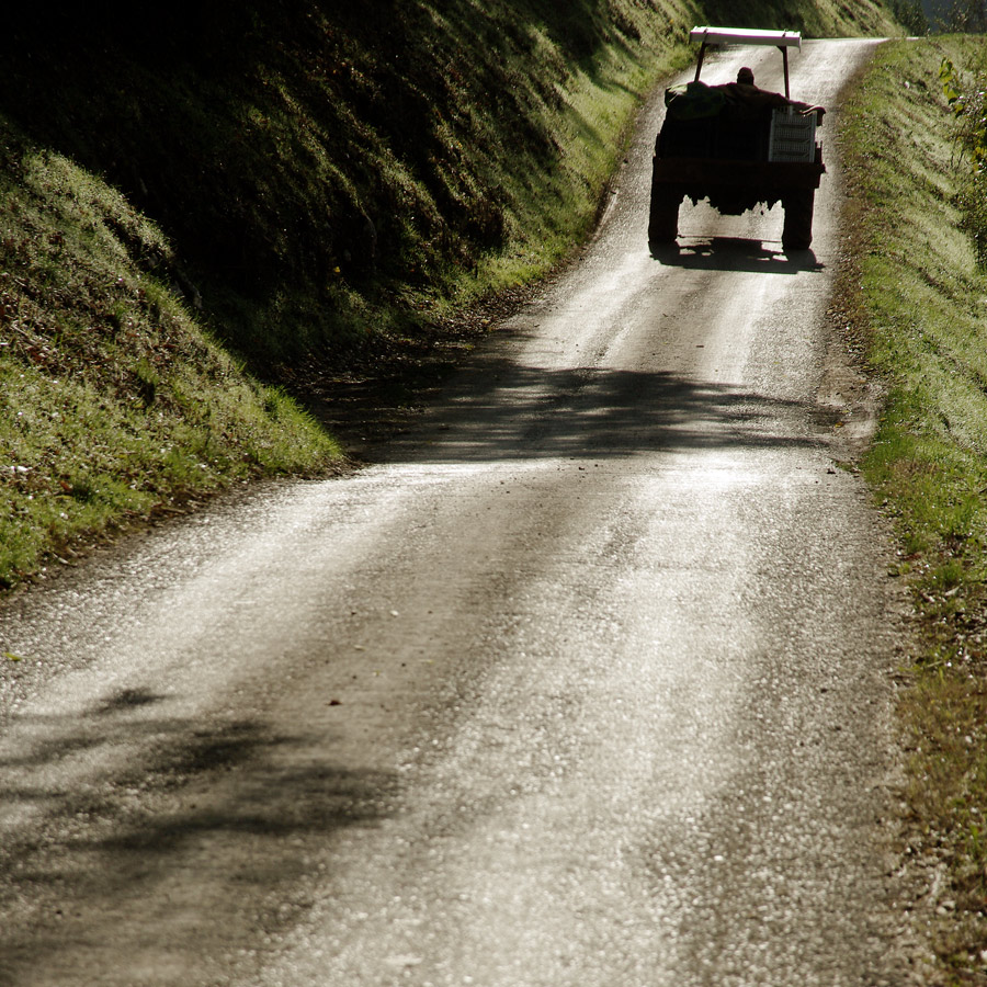 Strada con trattore