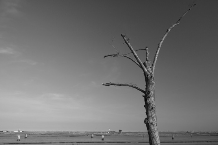 Venezia all'orizzonte