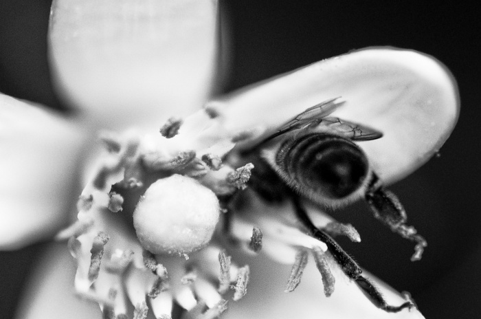 ...� l� la parte pi� dolce.............