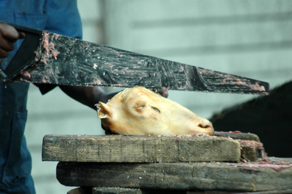 Capra: Gradite un po?