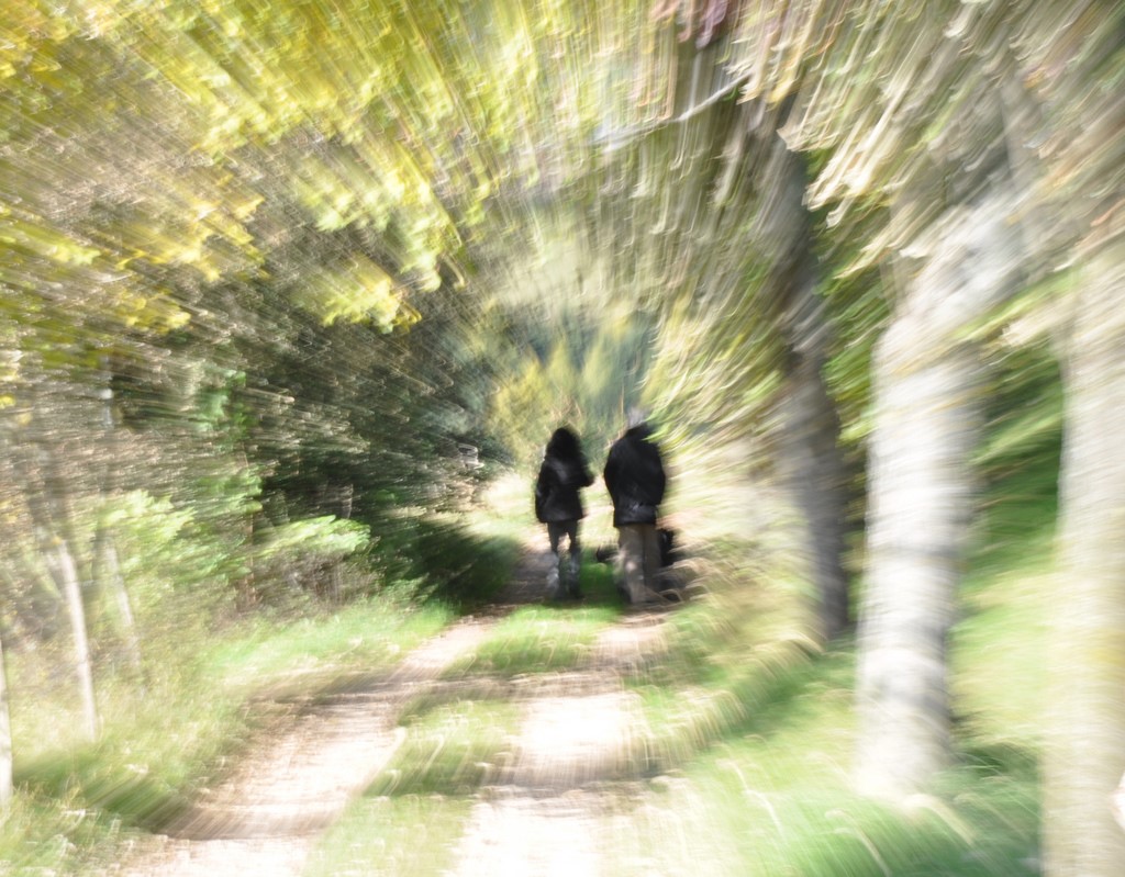 Passeggiata d'Ottobre