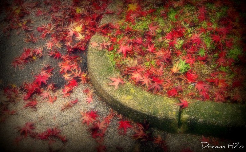 Ogni persona muove 3 stelle