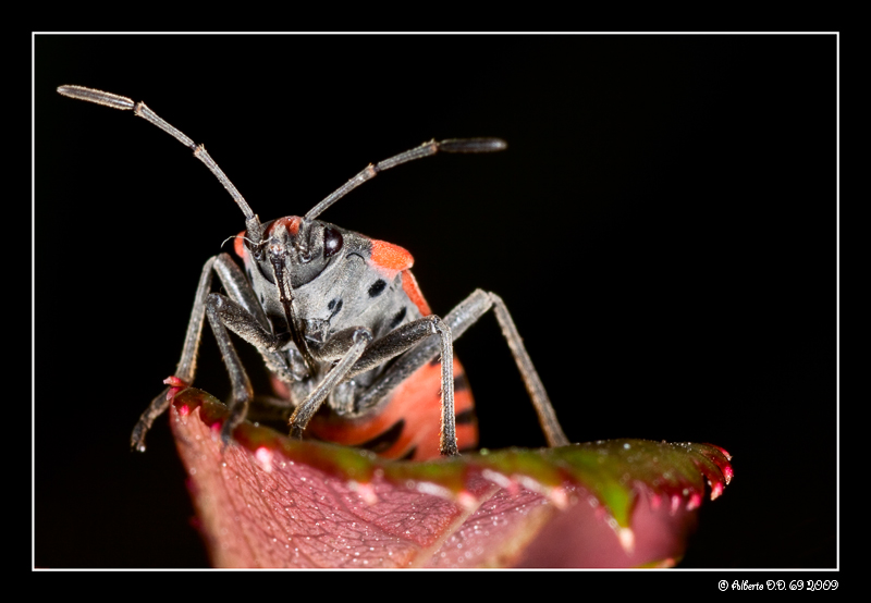 ...arrivato in cima...che fatica