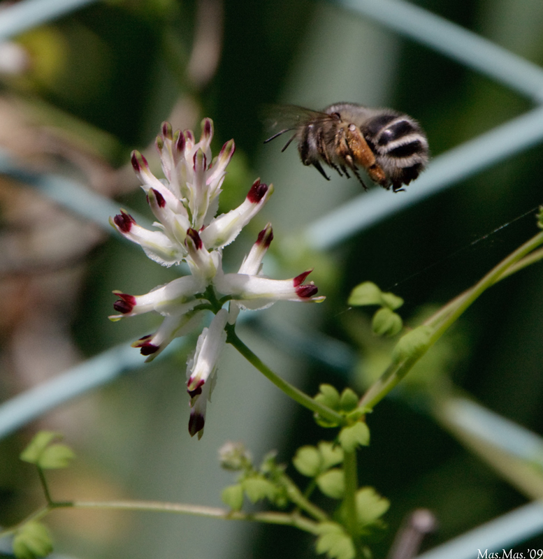 Atterrando, con dolcezza