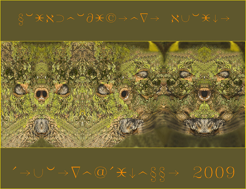 trsformazioni di immagini