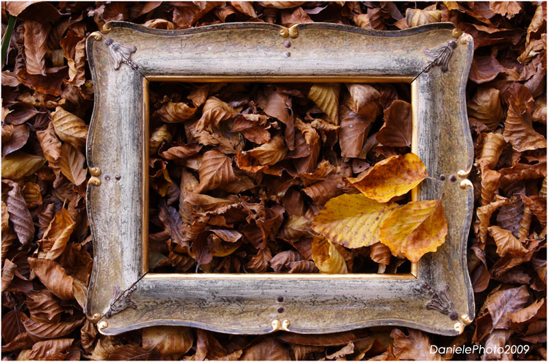 cornice autunnale