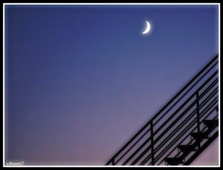 acchiappami....ancora