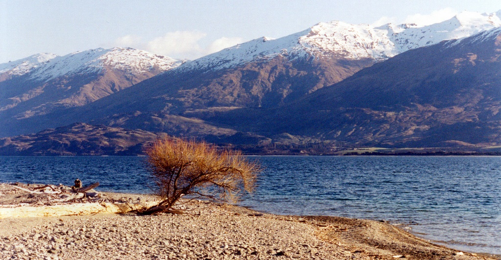 Wanaka