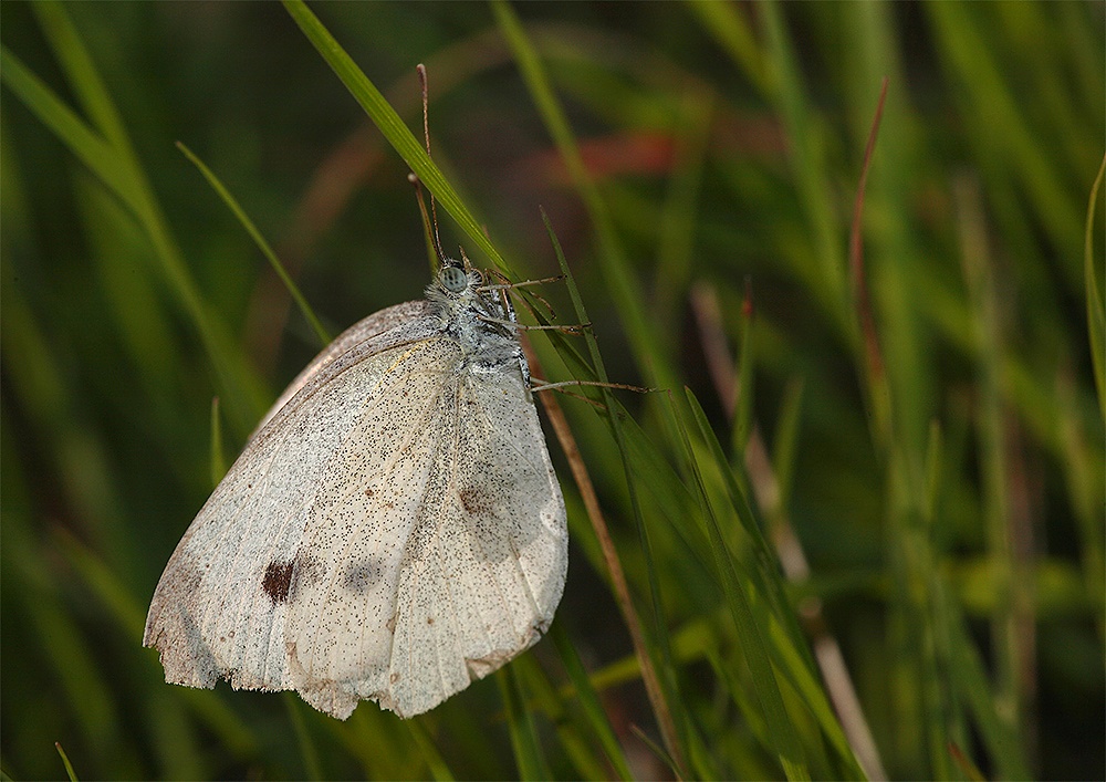 ...In Cerca Di Un Riparo...!!!
