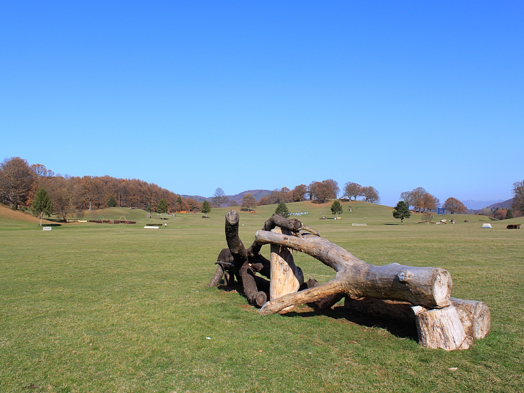 Pratoni del Vivaro (RM) - passeggiata novembrina