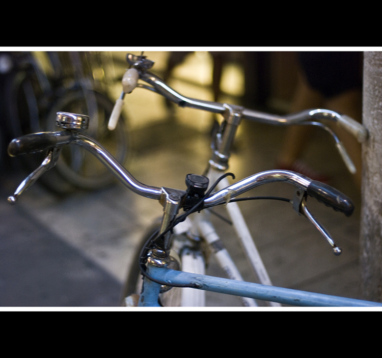 Ferrara la citt� delle bici