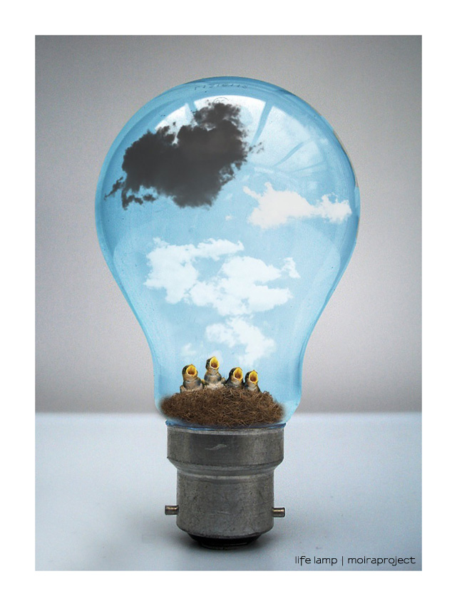 :: life lamp