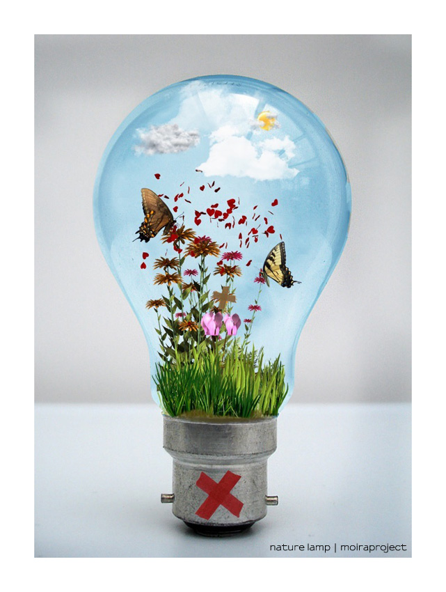 :: nature lamp