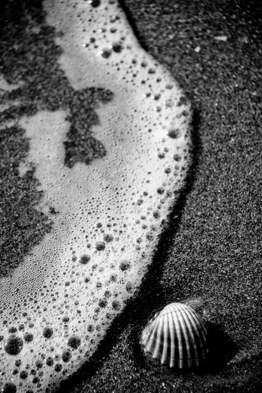 Quel che resta del mare...