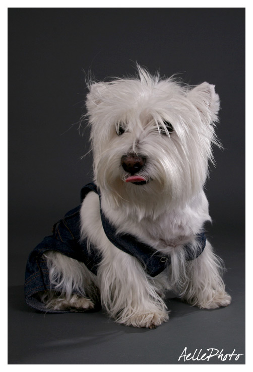 La modella si ribella alle richieste del fotografo.. ;)