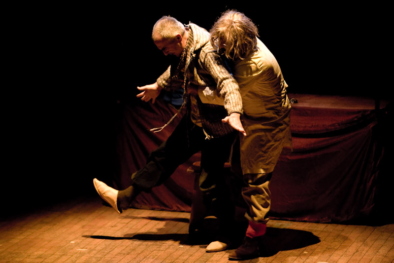 Pinocchio compagnia InActo