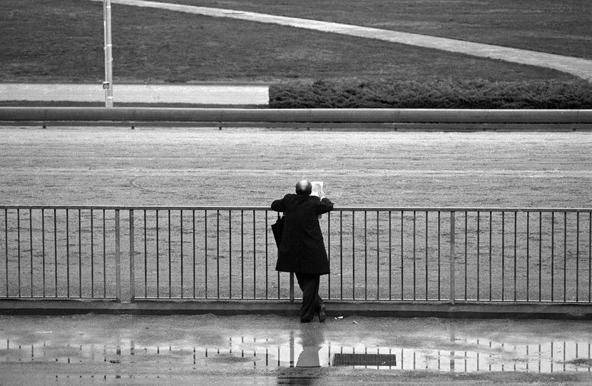 Horse racing, searching for the next winner...