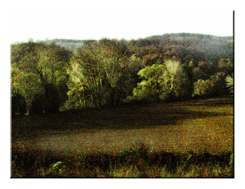 treni, paesaggi e.... grana