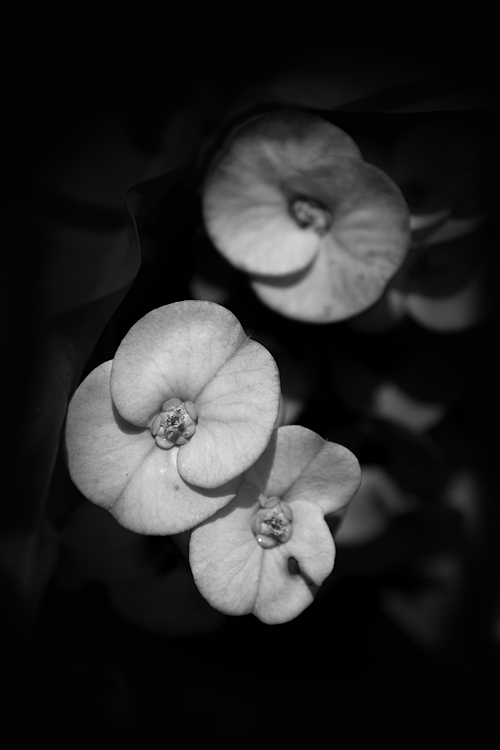 The other world_IndonesiaReportage