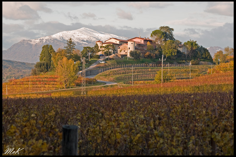 Questo � il friuli.